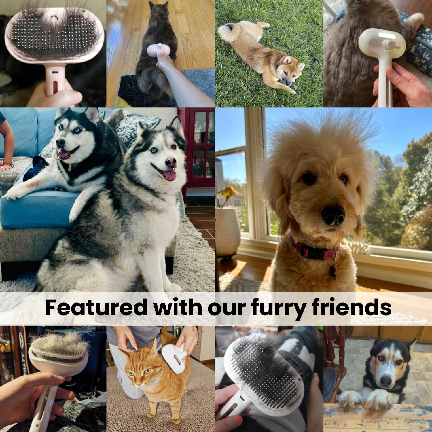 Pawlish™ - Pet Grooming Brush