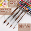VeroLine™ Precision Brushes — Paint Every Detail