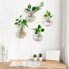 Globeo™ – Give Your Plants a Stylish New Home and Bring Your Walls to Life!