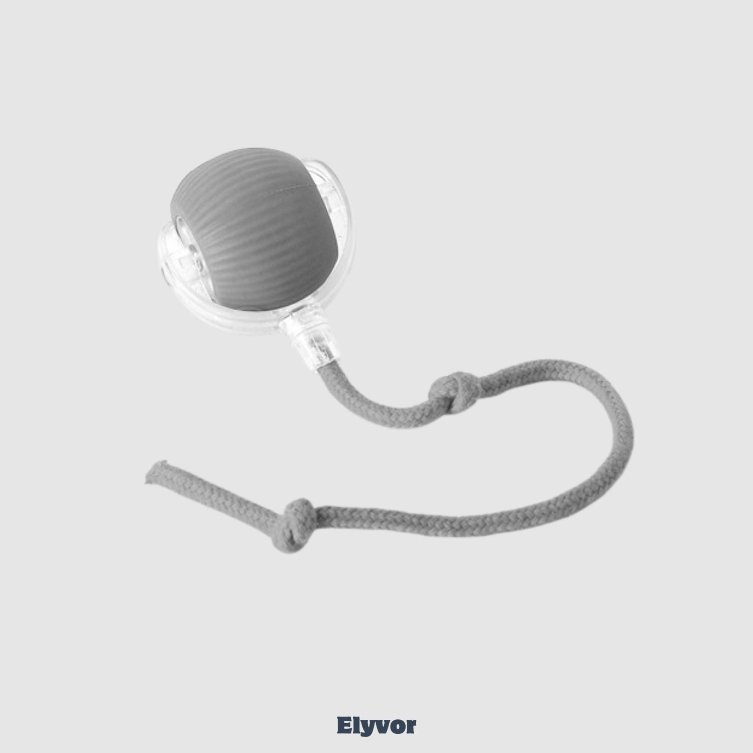Elyvor™ - Your Pet's New Obsession