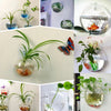 Globeo™ – Give Your Plants a Stylish New Home and Bring Your Walls to Life!