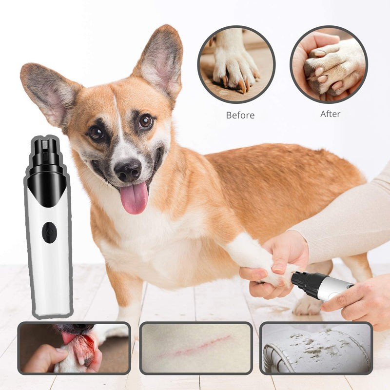 Stress-free nail file for your pet