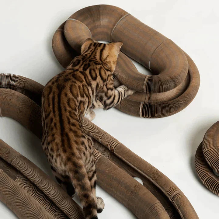 CatMaze™ | Indoor Fun for Energetic Cats