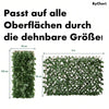 Chery | Gardenscape