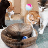 CatMaze™ | Indoor Fun for Energetic Cats