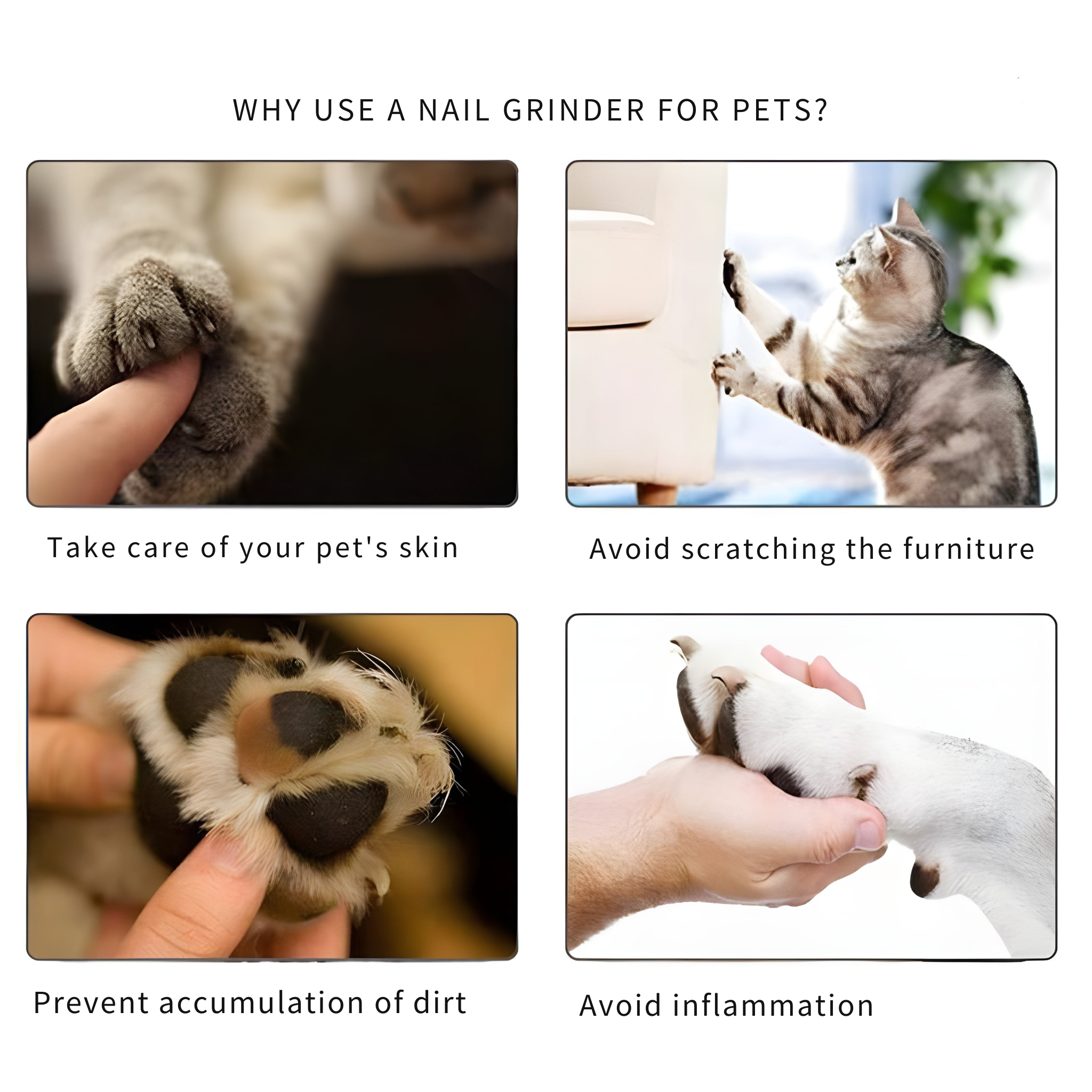 Stress-free nail file for your pet