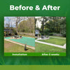 LawnEase™ | The Stress-Free Way To Grow A Thick Lawn