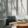 LunaFloat™ – Levitating Moon Lamp