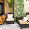 Chery | Gardenscape