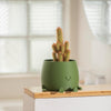 Happy Face Planter