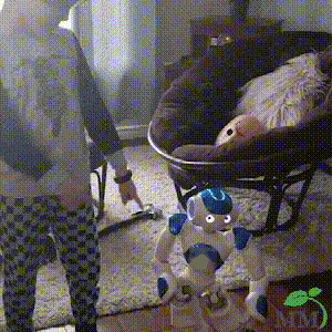 Smart Robot 50$ TODAY ONLY