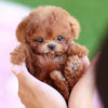 Nico™ | Realistic Robot Puppy🐶
