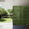 Chery | Gardenscape