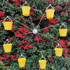 lusails™ | Ferris Wheel Bird Feeder