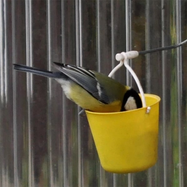 lusails™ | Ferris Wheel Bird Feeder