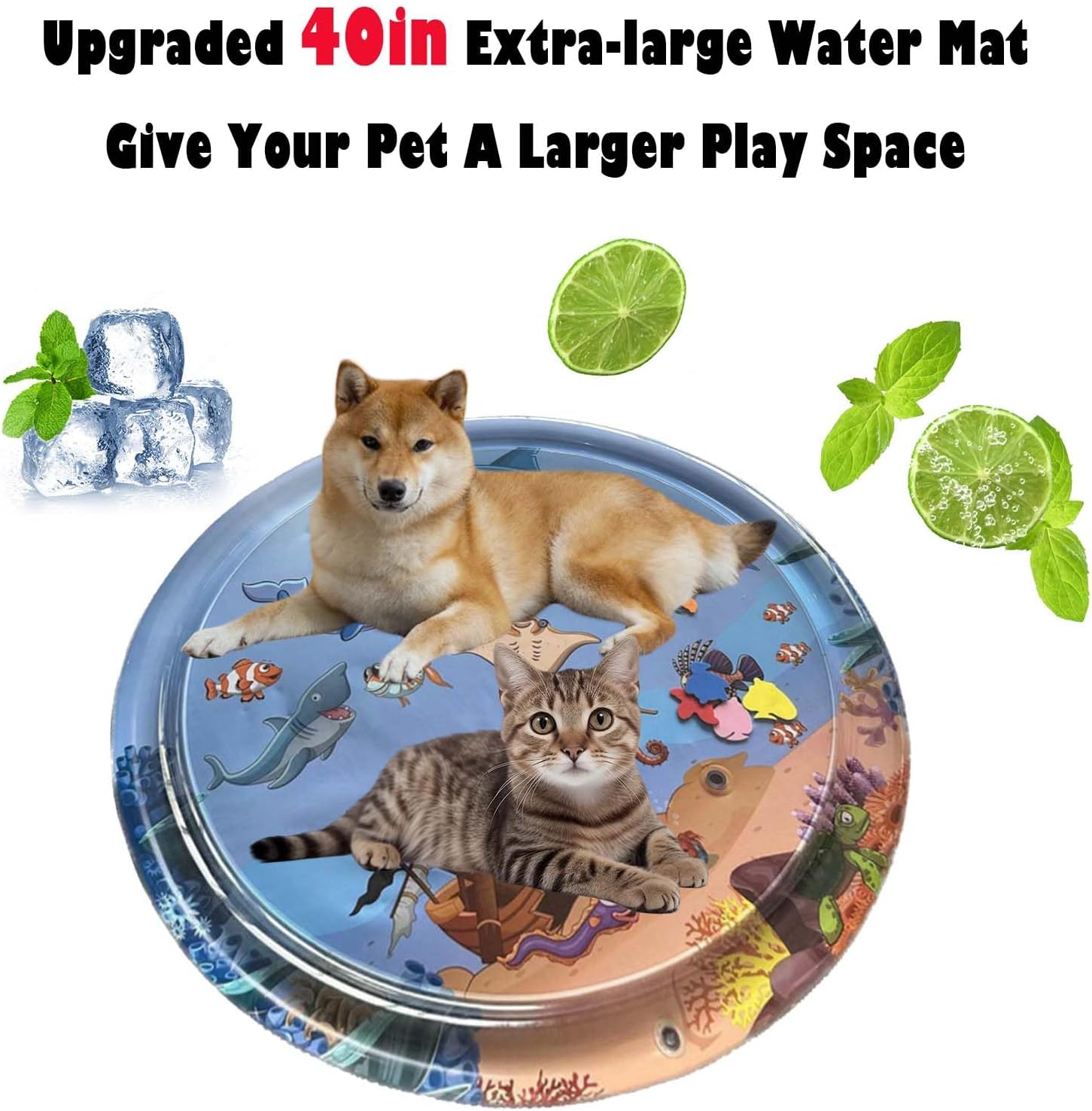 AquaPaws™ | Ocean Breeze Splashland