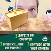 ScareBox™ | The Ultimate Spider Prank Box