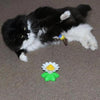 HappyCats | Interactive Bird Toy for Cats