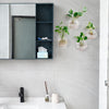 Globeo™ – Give Your Plants a Stylish New Home and Bring Your Walls to Life!