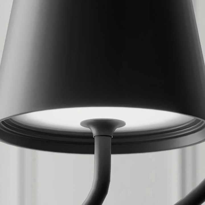 The Pendant Lamp