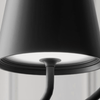 The Pendant Lamp