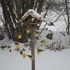 lusails™ | Ferris Wheel Bird Feeder