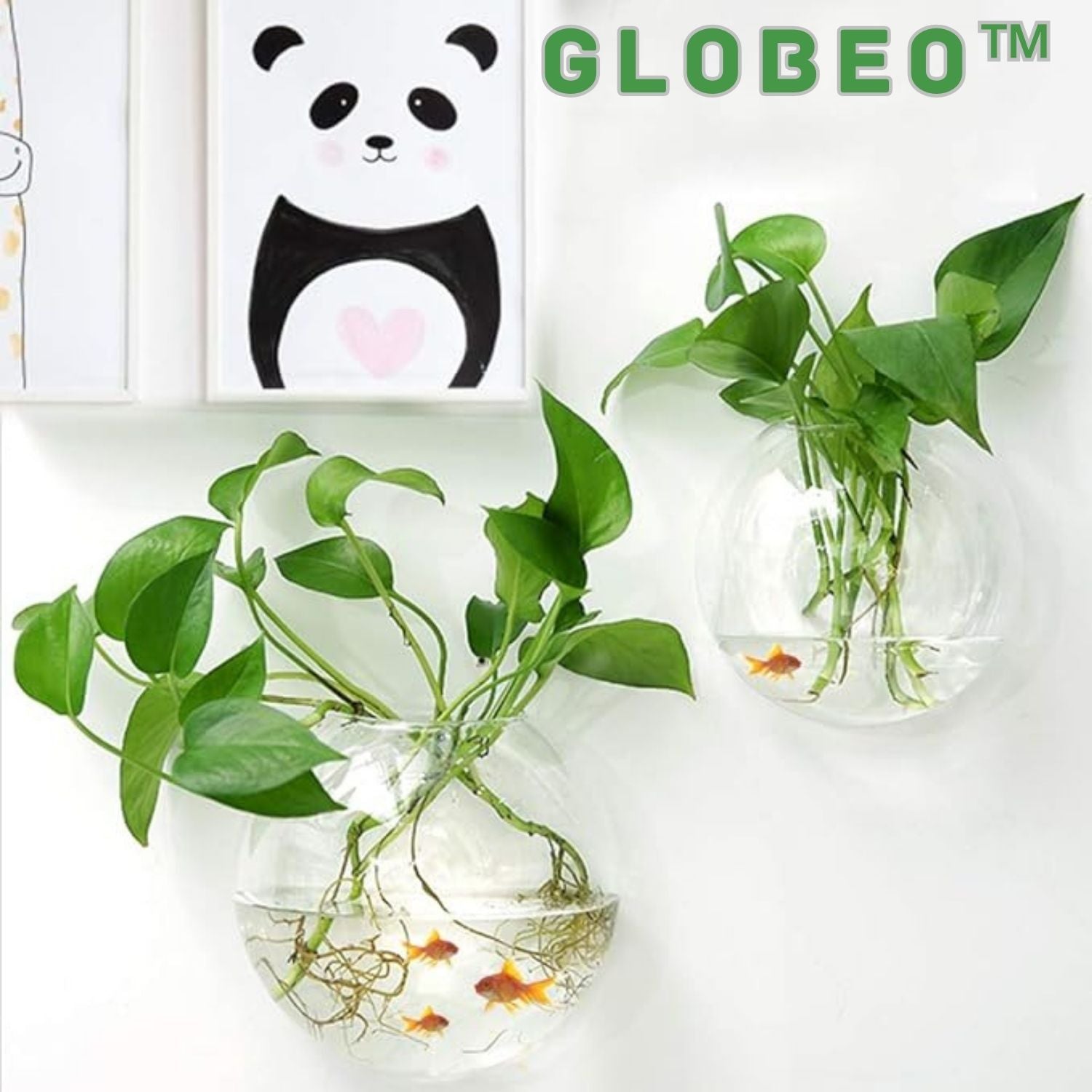 Globeo™ – Give Your Plants a Stylish New Home and Bring Your Walls to Life!
