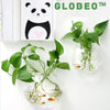 Globeo™ – Give Your Plants a Stylish New Home and Bring Your Walls to Life!