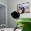 StickMate™ Suction Cup Hooks | No Drilling, Just Holding Power (2PC)