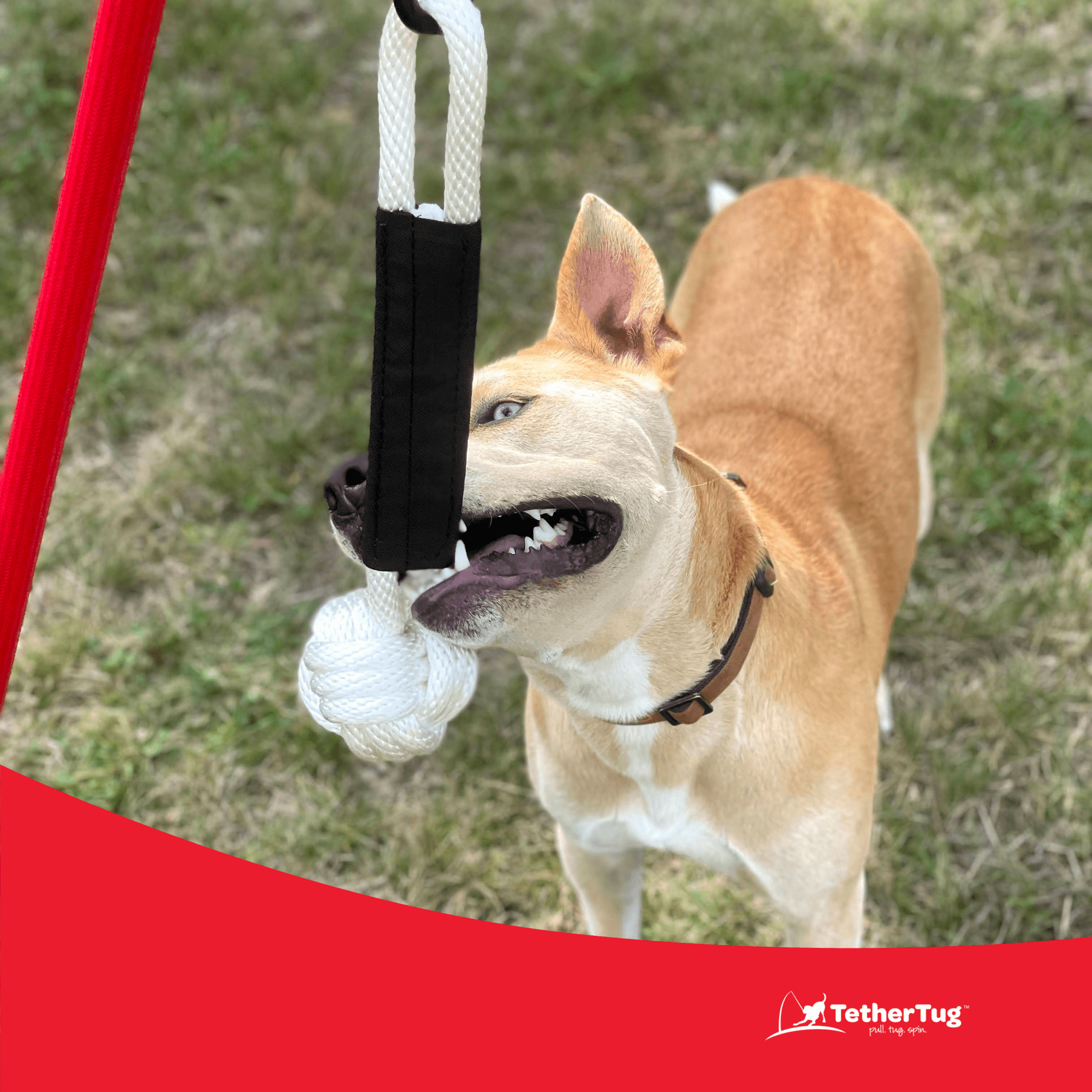 TetherTug™ XL – Outdoor Tug Toy Kit for Dogs 70 lbs+