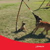 TetherTug™ XL – Outdoor Tug Toy Kit for Dogs 70 lbs+