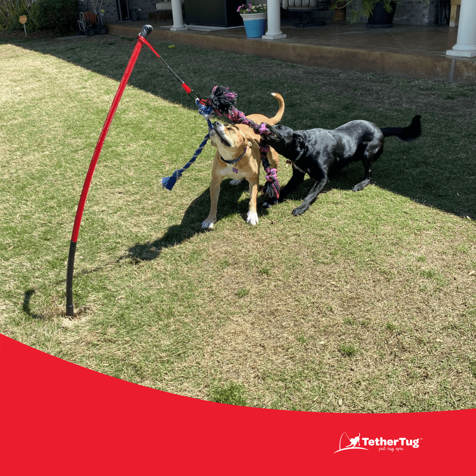 TetherTug™ XL – Outdoor Tug Toy Kit for Dogs 70 lbs+