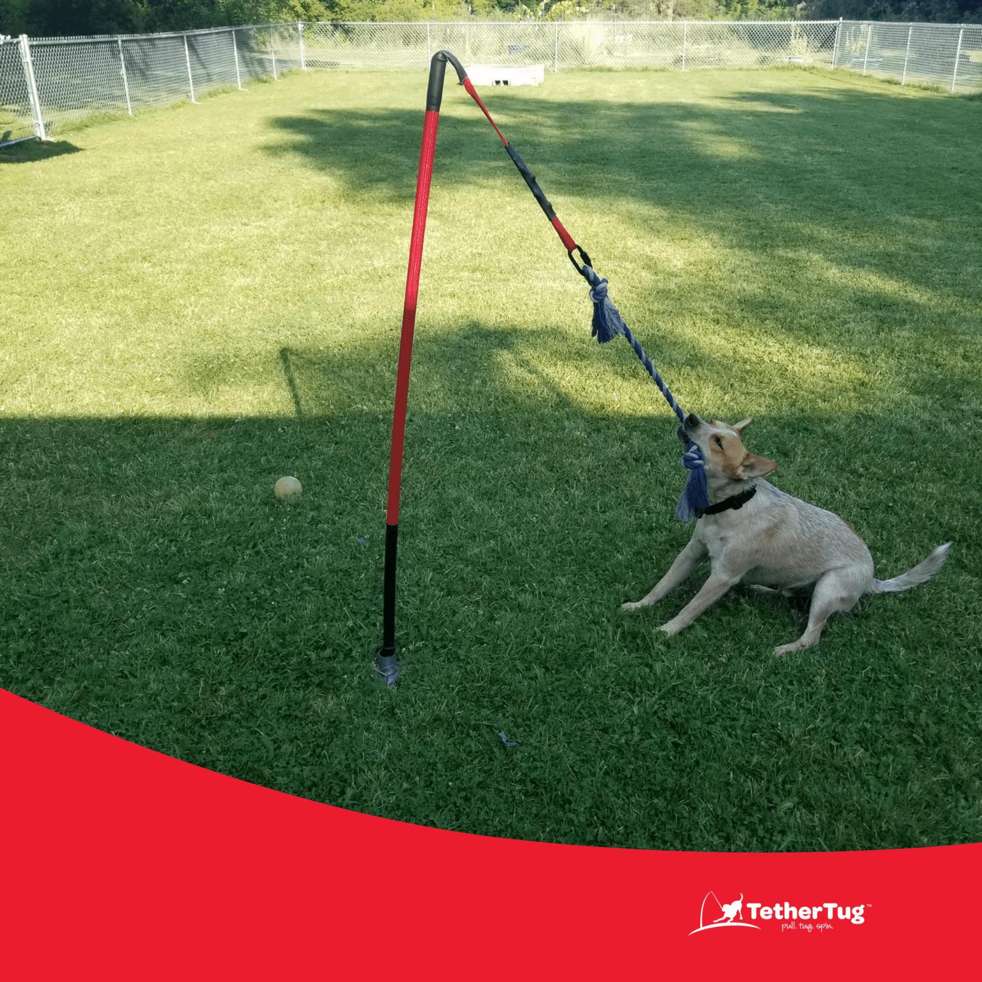TetherTug™ XL – Outdoor Tug Toy Kit for Dogs 70 lbs+