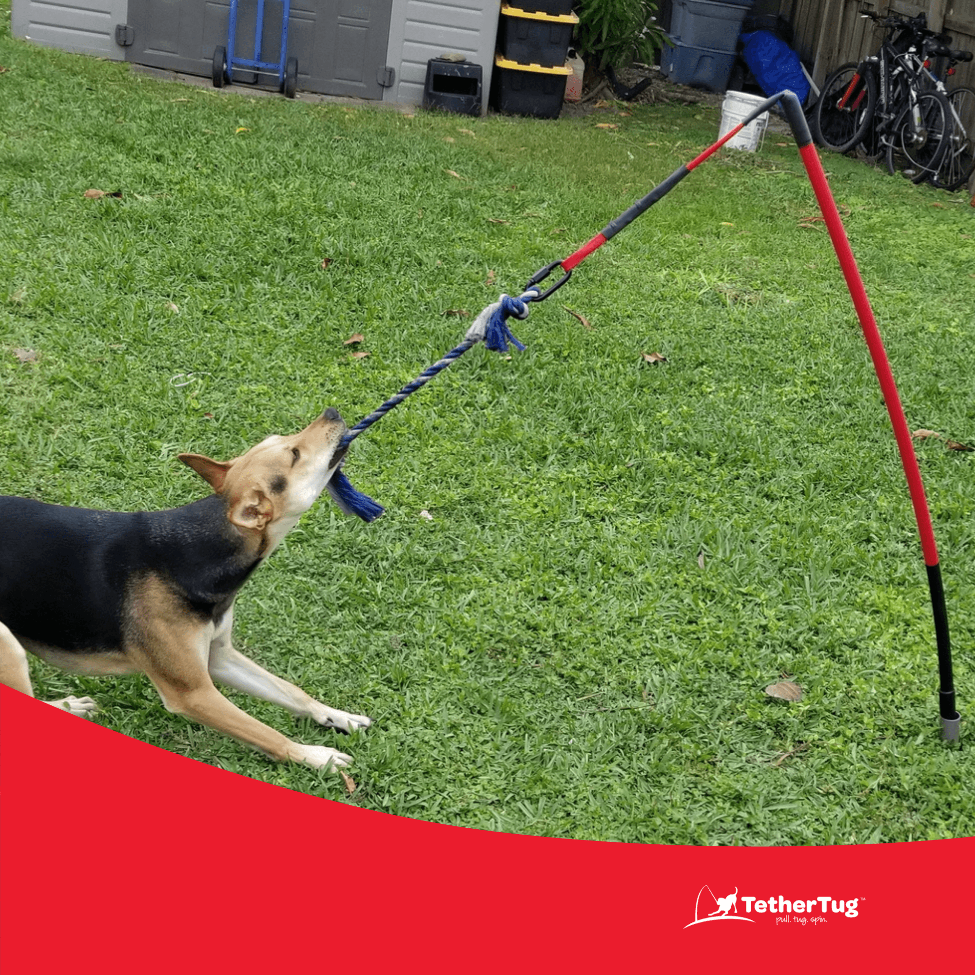 TetherTug™ XL – Outdoor Tug Toy Kit for Dogs 70 lbs+