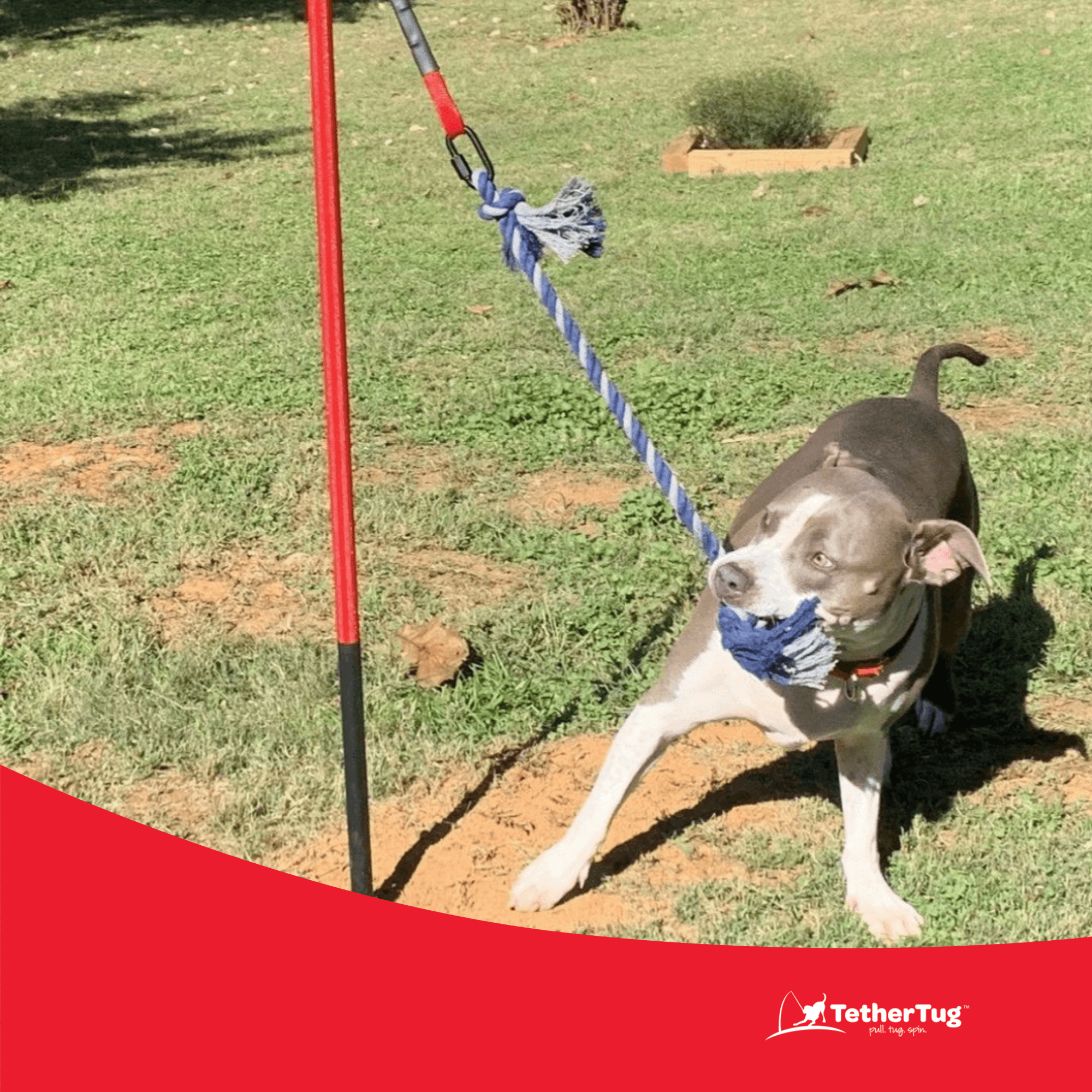 TetherTug™ XL – Outdoor Tug Toy Kit for Dogs 70 lbs+