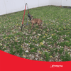 TetherTug™ XL – Outdoor Tug Toy Kit for Dogs 70 lbs+