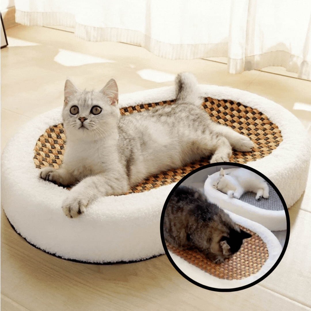 50% Off | Cat Scratch Lounge™ – Plush Cat Bed with Scratchable Surface