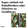 Chery | Gardenscape