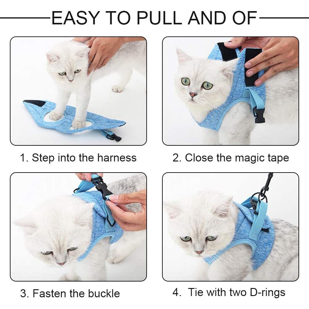 Câlinou™ | Safety and Comfort for Your Cat
