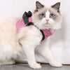 Câlinou™ | Safety and Comfort for Your Cat