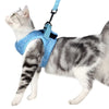 Câlinou™ | Safety and Comfort for Your Cat