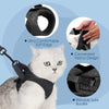 Câlinou™ | Safety and Comfort for Your Cat