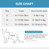 Câlinou™ | Safety and Comfort for Your Cat