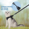 Câlinou™ | Safety and Comfort for Your Cat