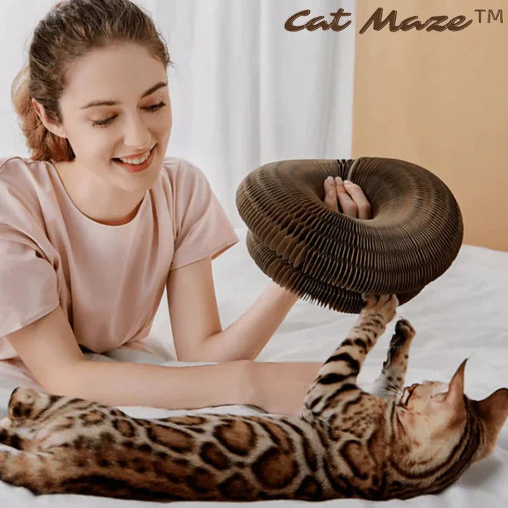 CatMaze™ | Indoor Fun for Energetic Cats