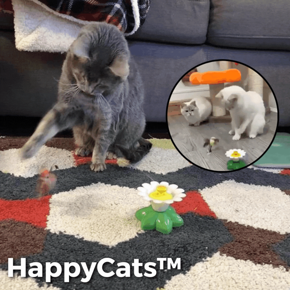HappyCats | Interactive Bird Toy for Cats