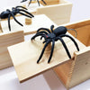 ScareBox™ | The Ultimate Spider Prank Box