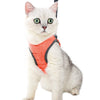 Câlinou™ | Safety and Comfort for Your Cat