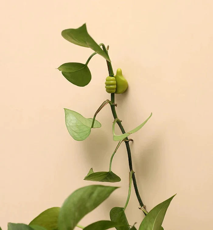 ThumbHooks | Always a Tidy Home [Last Day Discount]