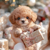 Nico™ | Realistic Robot Puppy🐶